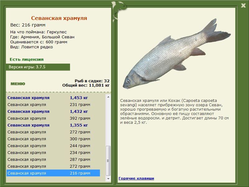 Большой Севан 