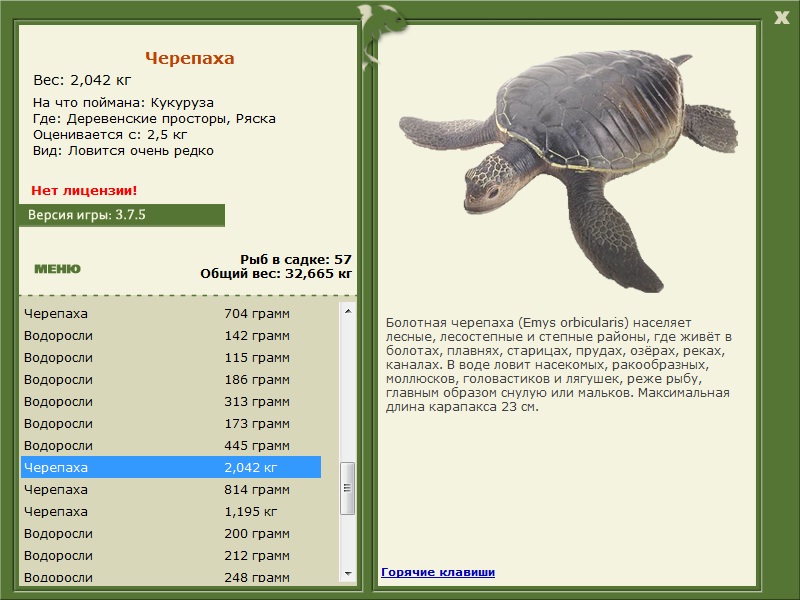 Ряска 