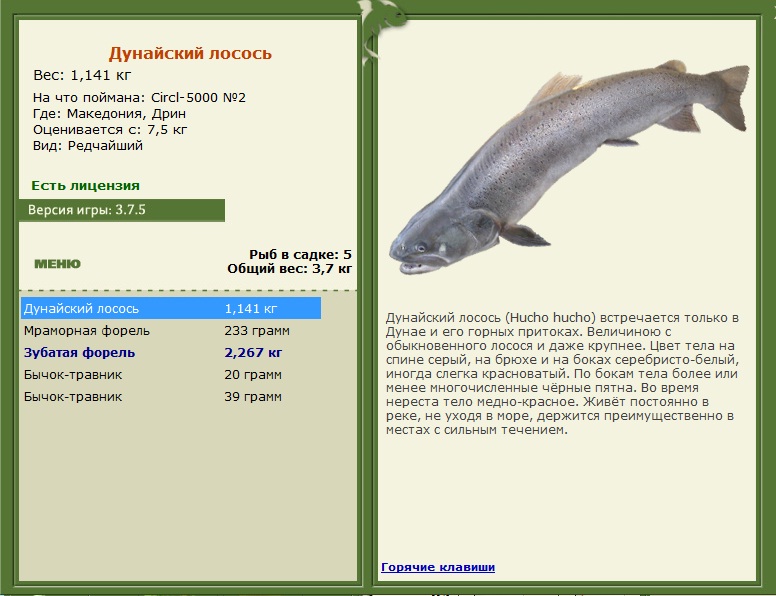 турниры • РУССКАЯ РЫБАЛКА