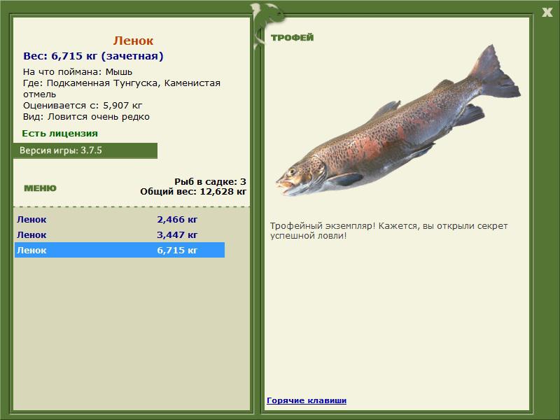 Ленок 