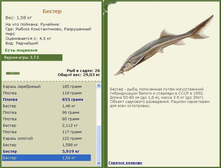 турниры • РУССКАЯ РЫБАЛКА
