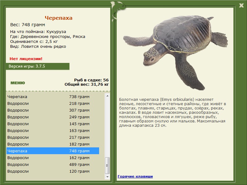 Ряска 