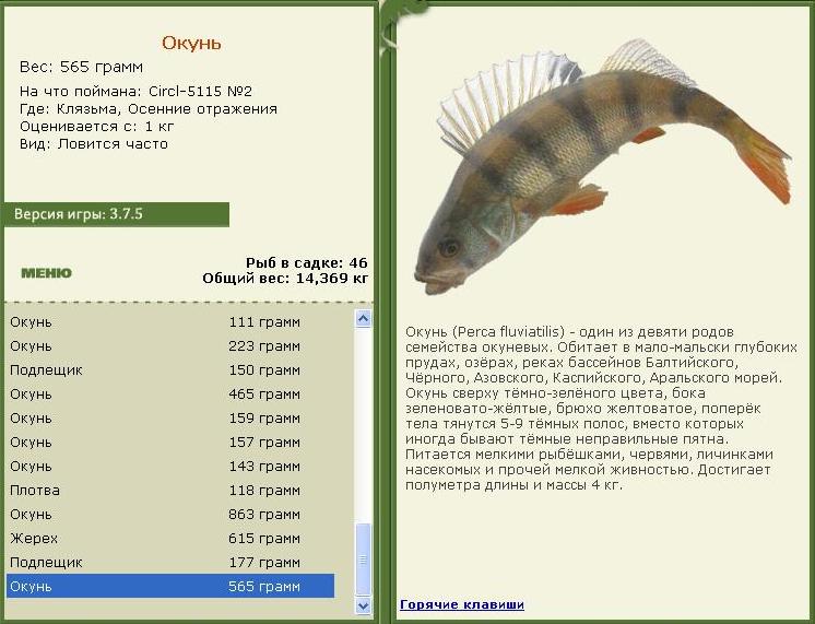 Осенние отражения 