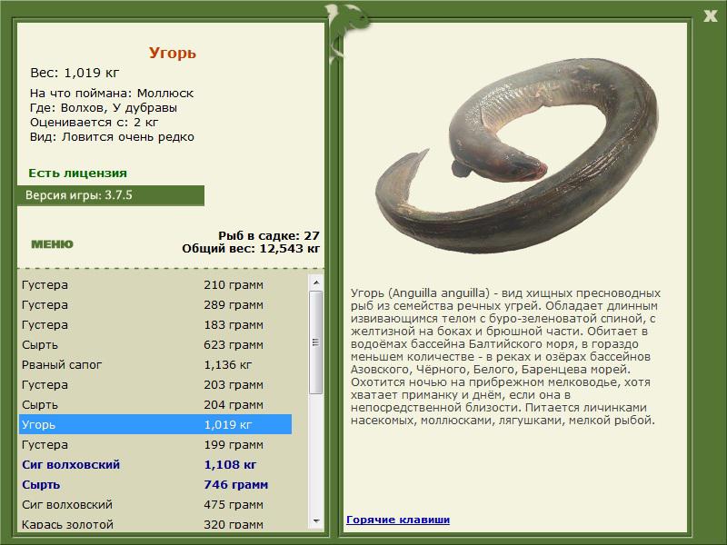 РУССКАЯ РЫБАЛКА Installsoft Edition 