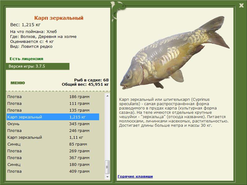 РУССКАЯ РЫБАЛКА Installsoft Edition 