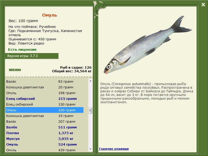 турниры • РУССКАЯ РЫБАЛКА