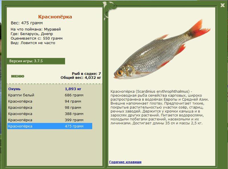 РУССКАЯ РЫБАЛКА Installsoft Edition 