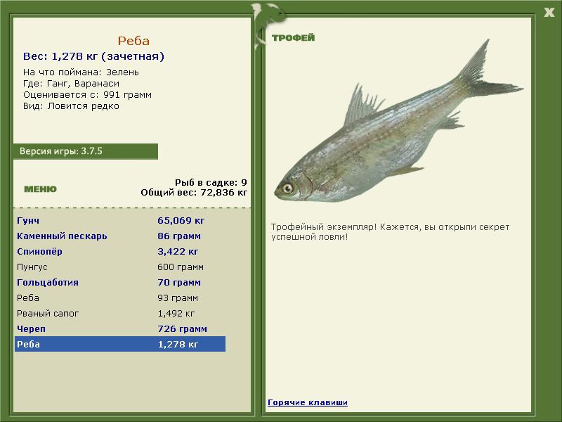 Реба 