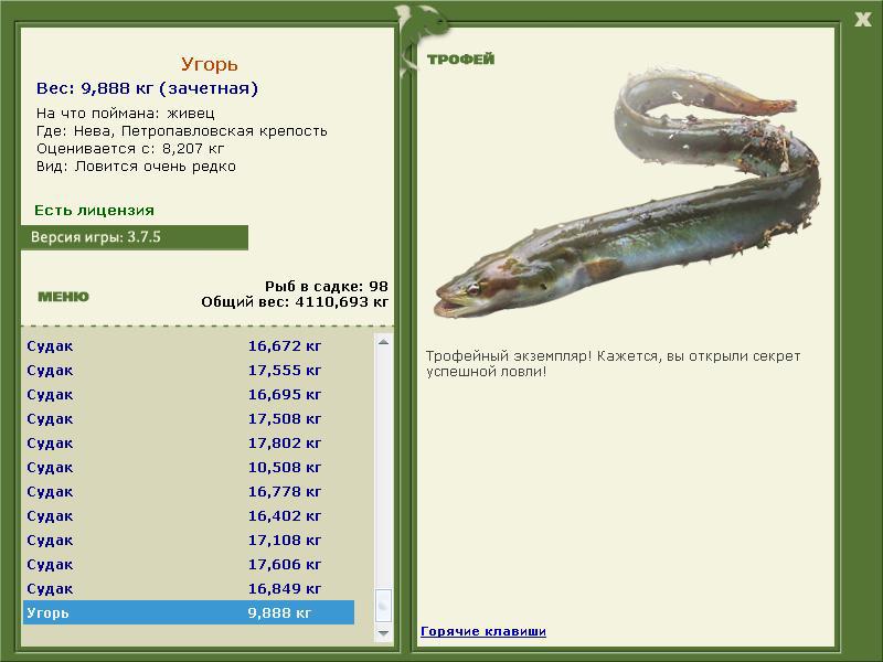 турниры • РУССКАЯ РЫБАЛКА
