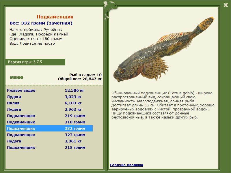 Посреди камней 