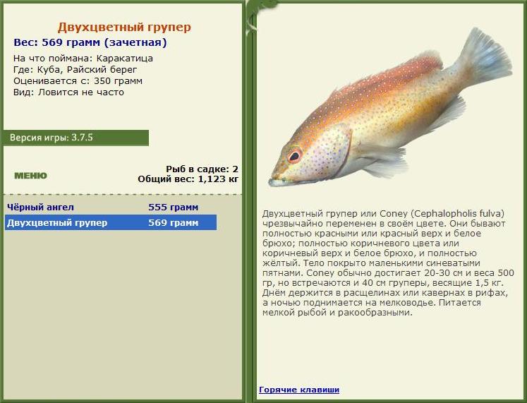 турниры • РУССКАЯ РЫБАЛКА