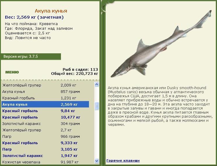 турниры • РУССКАЯ РЫБАЛКА