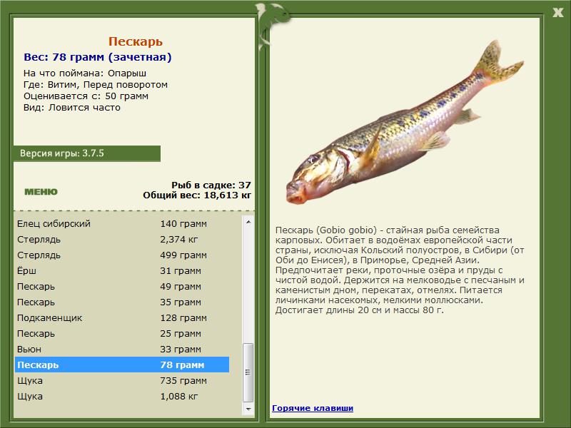 РУССКАЯ РЫБАЛКА Installsoft Edition 