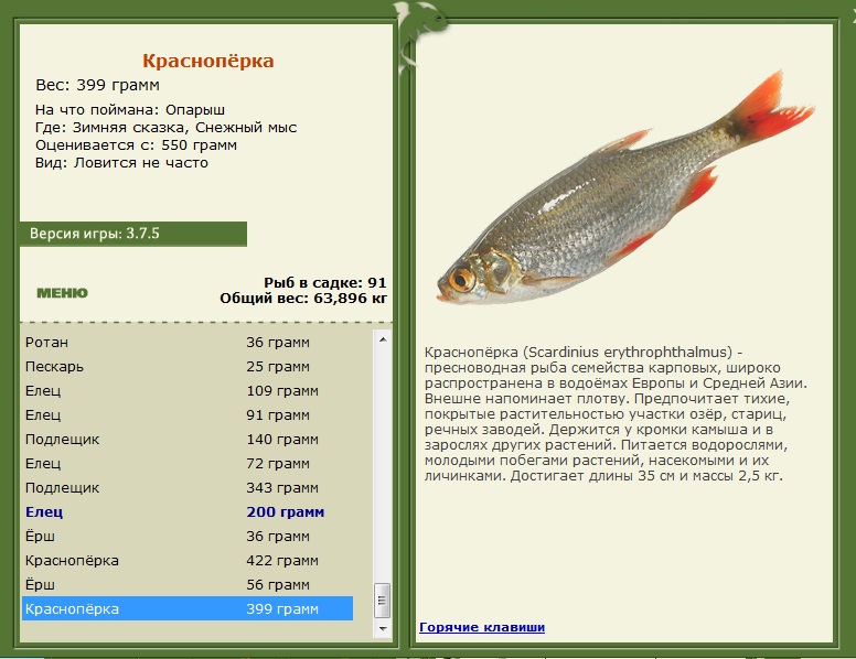 Снежный мыс 