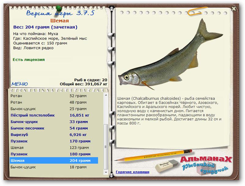 Каспийское море 