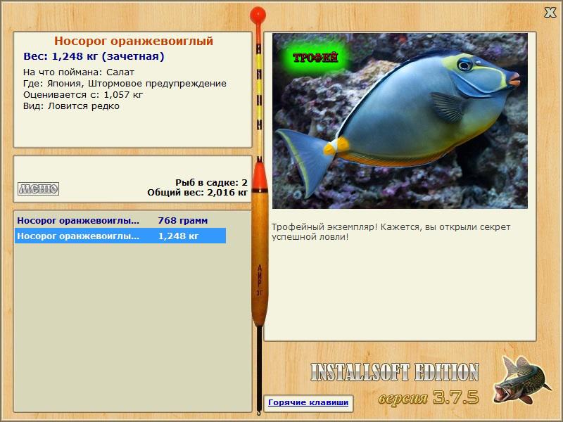 Носорог оранжевоиглый 