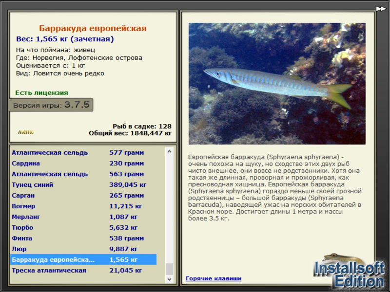 Норвегия 