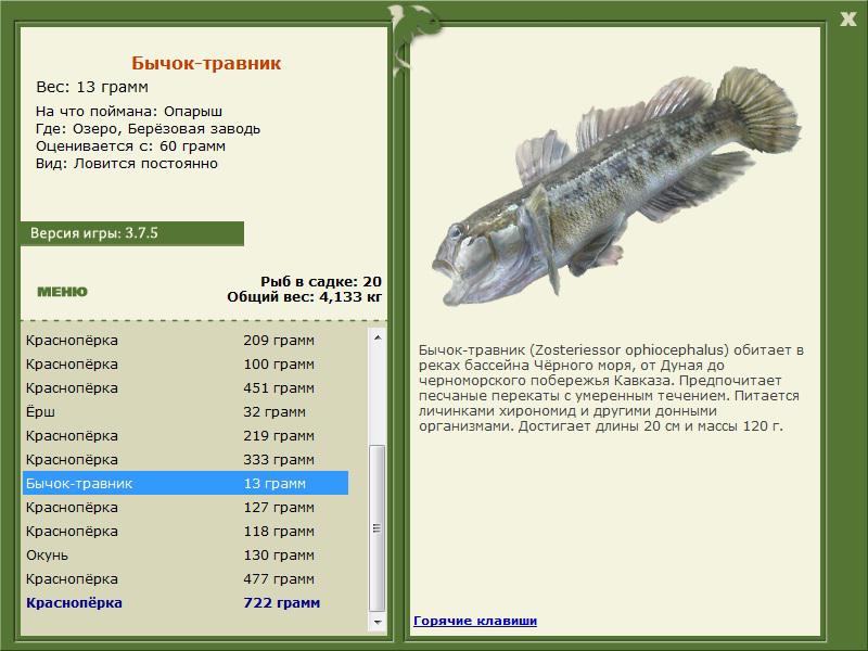 турниры • РУССКАЯ РЫБАЛКА