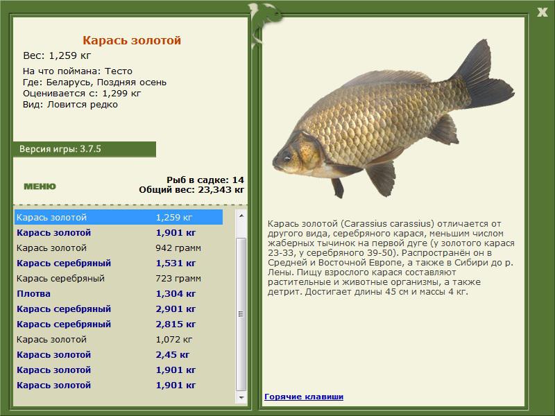 РУССКАЯ РЫБАЛКА Installsoft Edition 