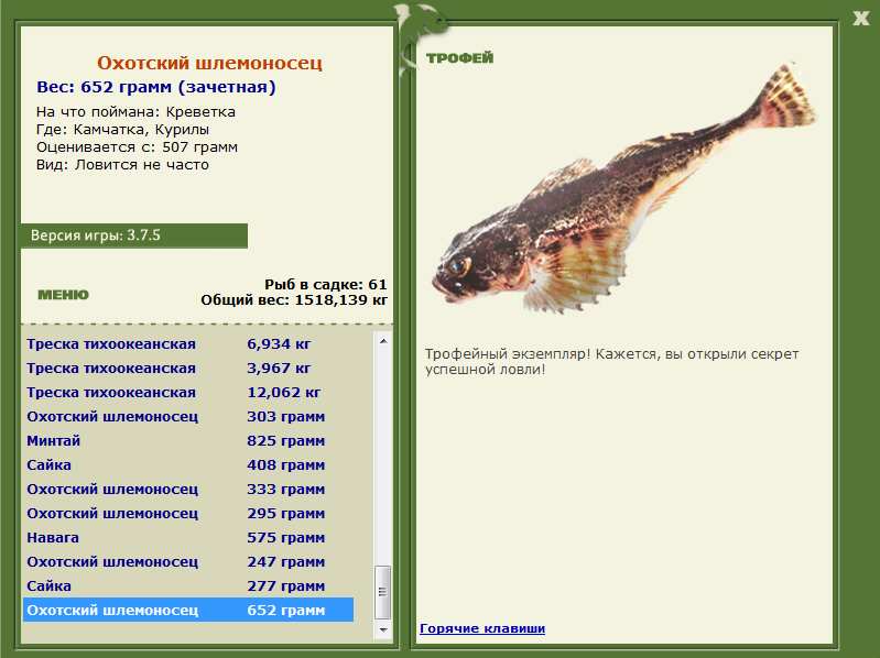 Охотский шлемоносец 