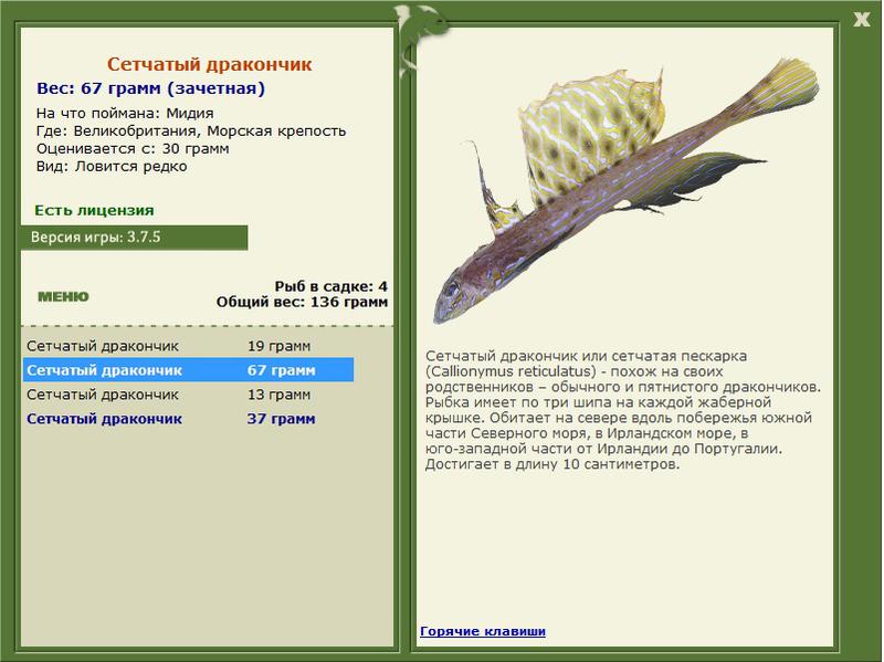 Морская крепость 