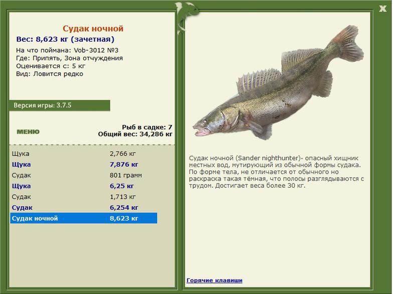 РУССКАЯ РЫБАЛКА Installsoft Edition 