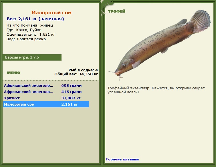 Буйки 
