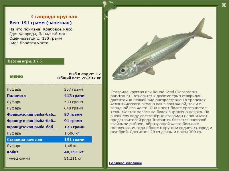 Флорида 