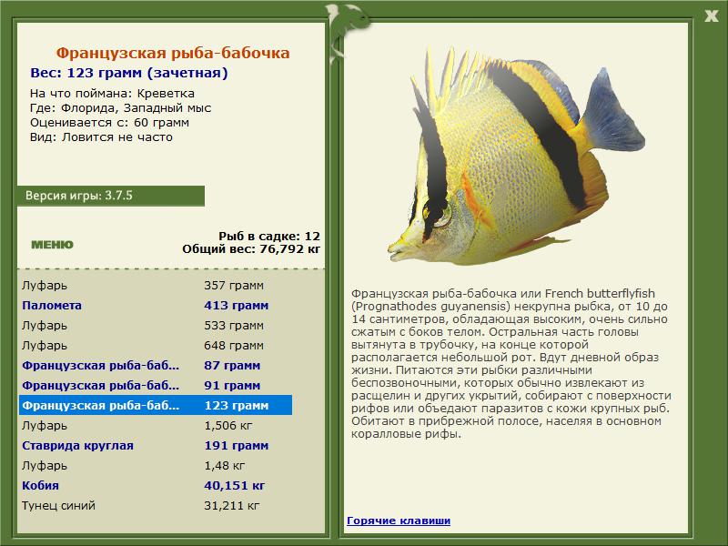 Флорида 