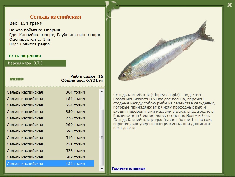 Глубокое синее море 