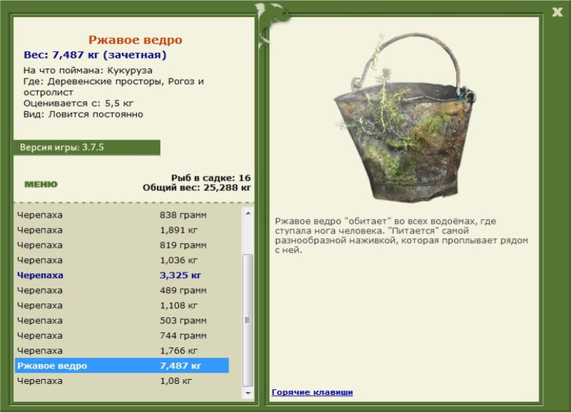 Ржавое ведро 