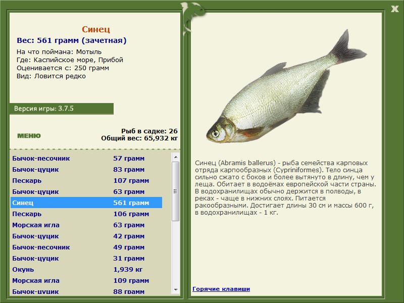 Каспийское море 
