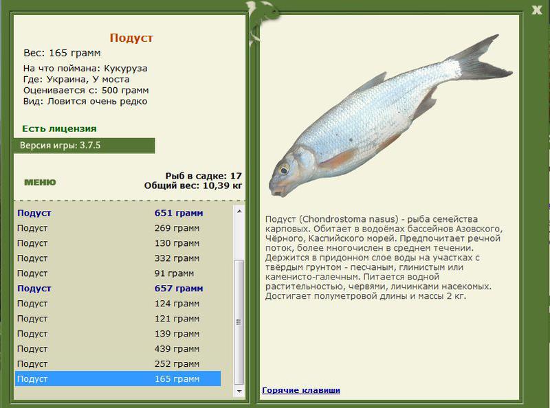 РУССКАЯ РЫБАЛКА Installsoft Edition 