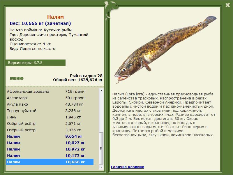 РУССКАЯ РЫБАЛКА Installsoft Edition 