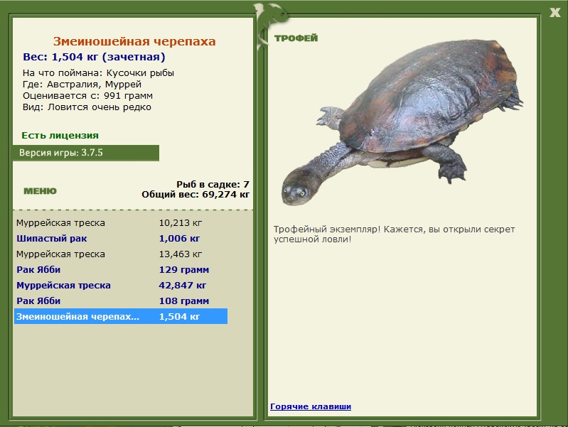 Муррей 