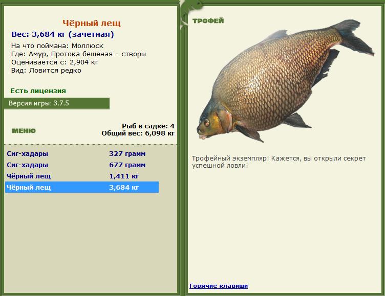 турниры • РУССКАЯ РЫБАЛКА