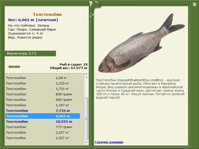 РУССКАЯ РЫБАЛКА Installsoft Edition 