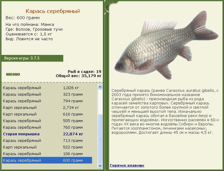 Грозовые тучи 