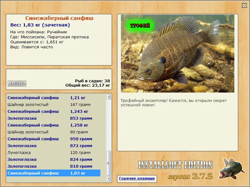Синежаберный санфиш 