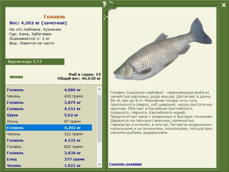 РУССКАЯ РЫБАЛКА Installsoft Edition 