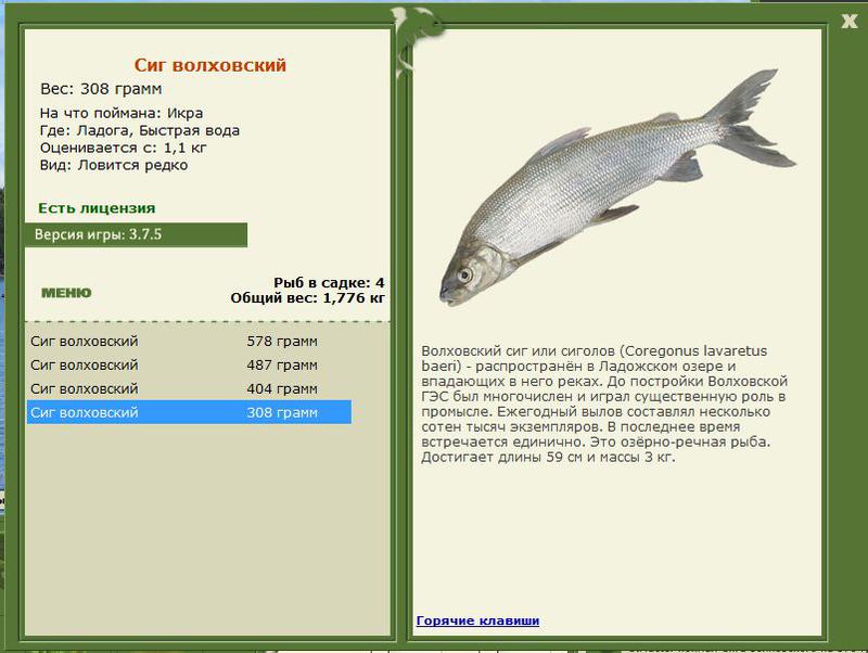 РУССКАЯ РЫБАЛКА Installsoft Edition 