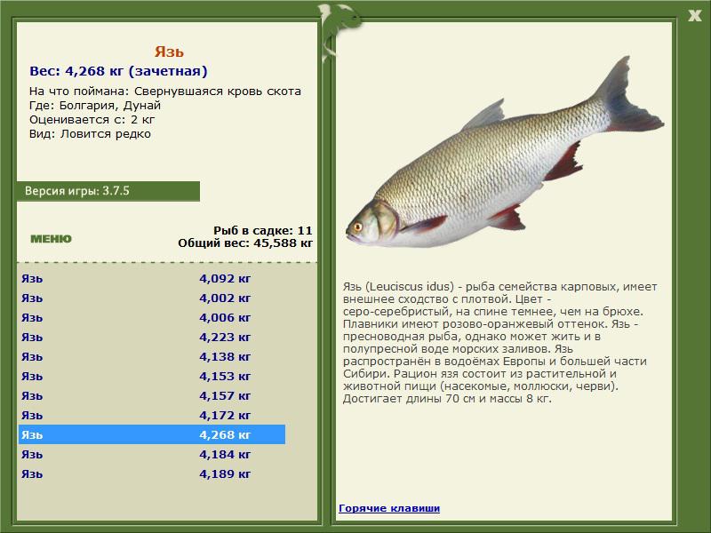 Дунай 