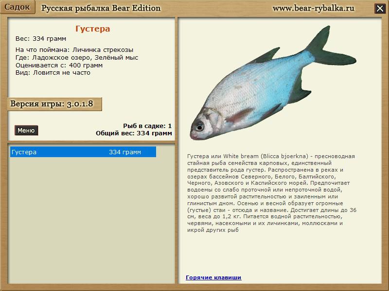Реальная рыбалка на что ловить густера