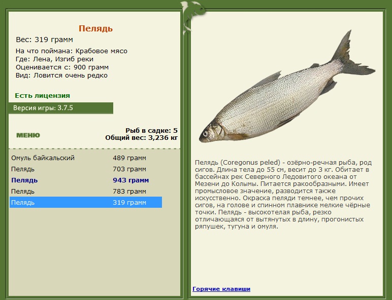 Изгиб реки 