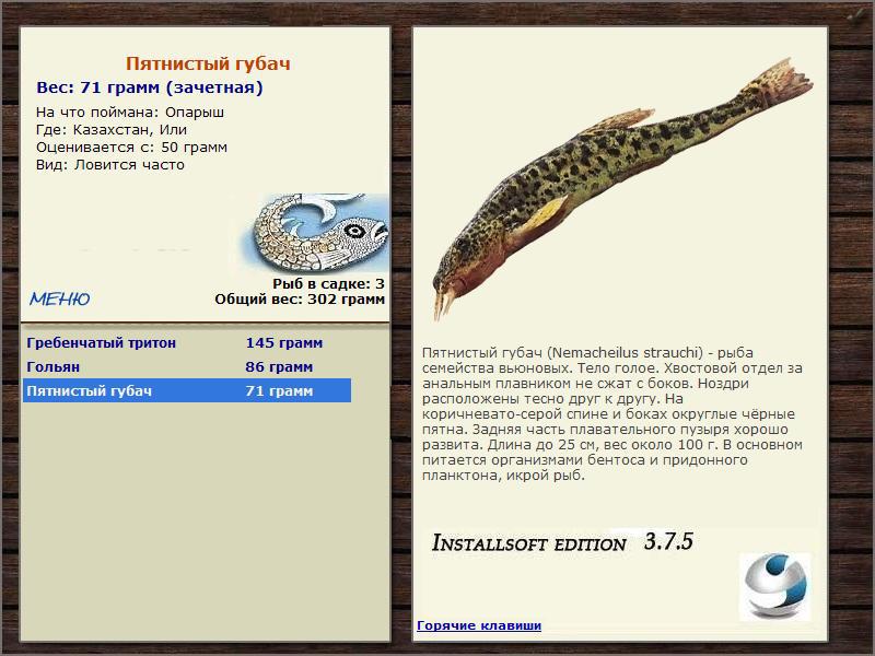 Или 