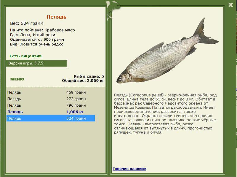 РУССКАЯ РЫБАЛКА Installsoft Edition 