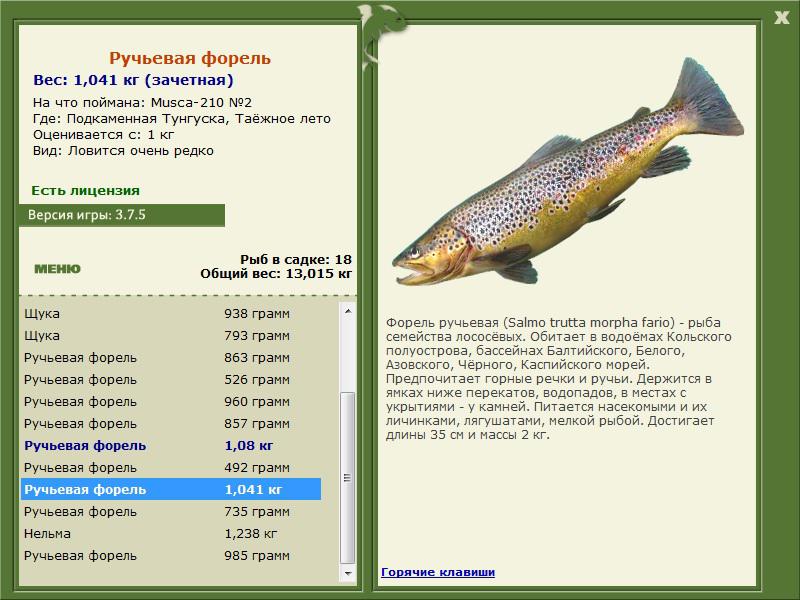 РУССКАЯ РЫБАЛКА Installsoft Edition 