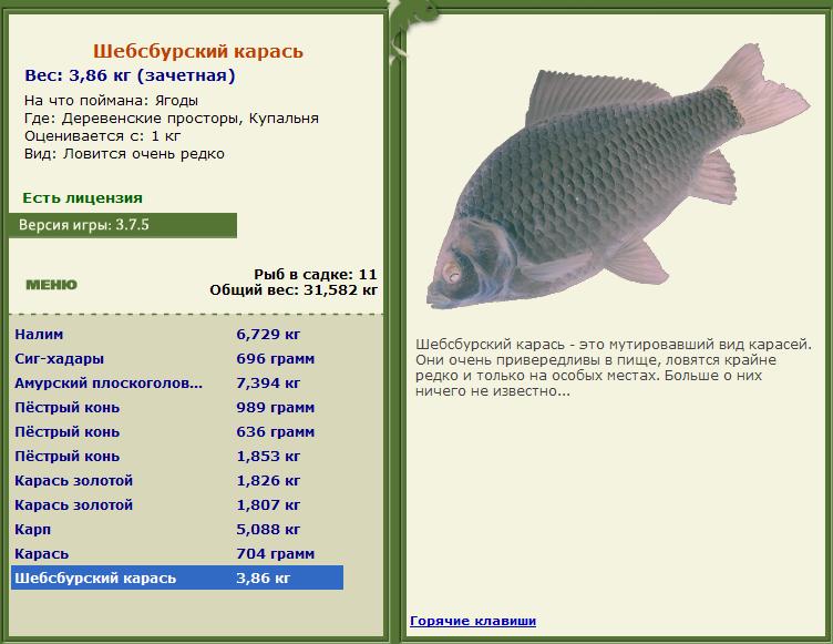 Ягоды 