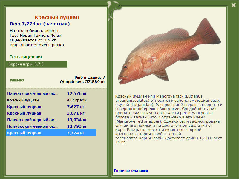 турниры • РУССКАЯ РЫБАЛКА