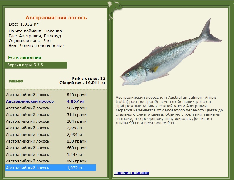 Блэквуд 